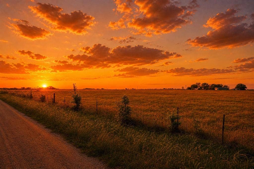 0002 TBD Lot 2 Dowell Road, McLendon Chisholm, TX 75032