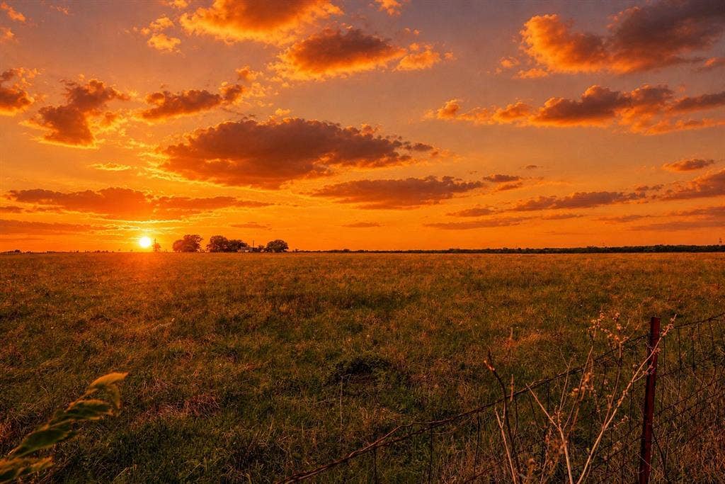 0003 TDB Lot 3 Dowell Road, McLendon Chisholm, TX 75032