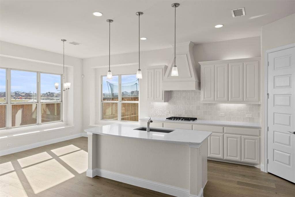 1328 David Drive, Anna, TX 75409 13_13. 1328 David - Kitchen (3).JPG