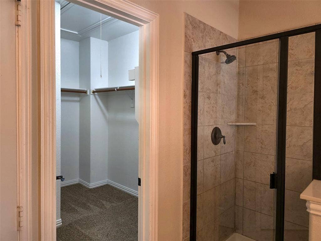 1504 Fox Run Drive, Irving, TX 75063 Walk-in closet featuring integrated shelving and carpeting, accompanied by a shower enclosure with stone-tile surround, metal-framed glass door, and oil-rubbed bronze fixtures