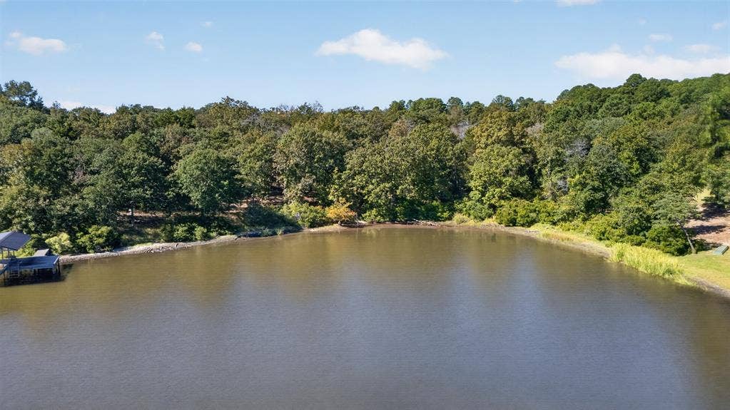 0 Safari Shores Drive, Larue, TX 75770 Waterfront property featuring a private boat dock, natural shoreline, and dense woodland canopy
