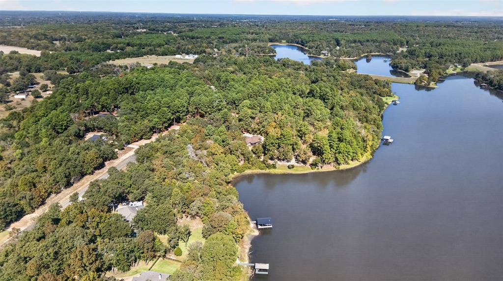 0 Safari Shores Drive, Larue, TX 75770 Aerial landscape featuring extensive wooded acreage, natural waterfront shoreline, and private dock structures