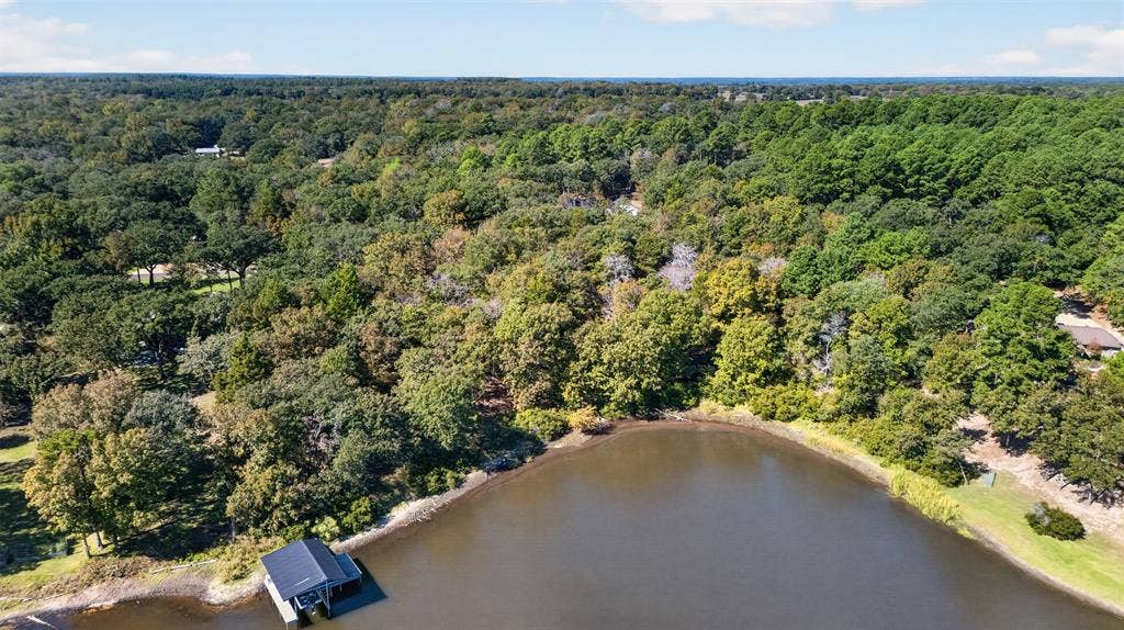 0 Safari Shores Drive, Larue, TX 75770 Waterfront property featuring a private boat dock, extensive shoreline, and mature hardwood tree coverage