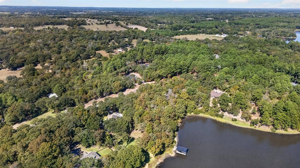 0 Safari Shores Drive, Larue, TX 75770 Aerial perspective featuring expansive wooded acreage, mature forest canopy, and direct waterfront access with a private boat dock