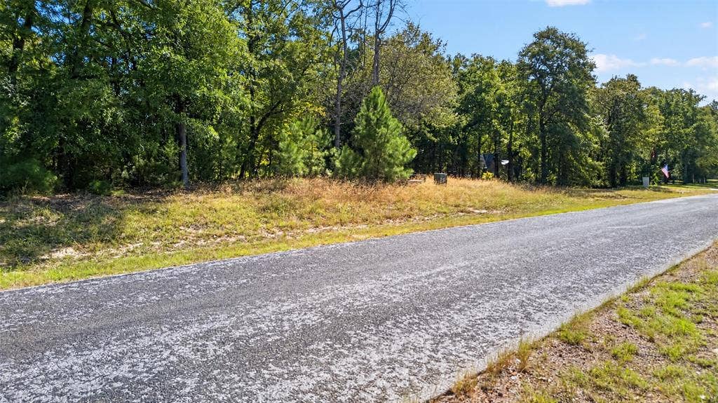 0 Safari Shores Drive, Larue, TX 75770 Vacant lot featuring paved road frontage and a heavily wooded perimeter with mature trees