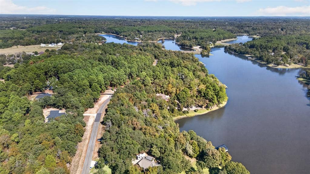 0 Safari Shores Drive, Larue, TX 75770 Aerial perspective featuring expansive waterfront acreage, mature tree canopy, and direct shoreline access