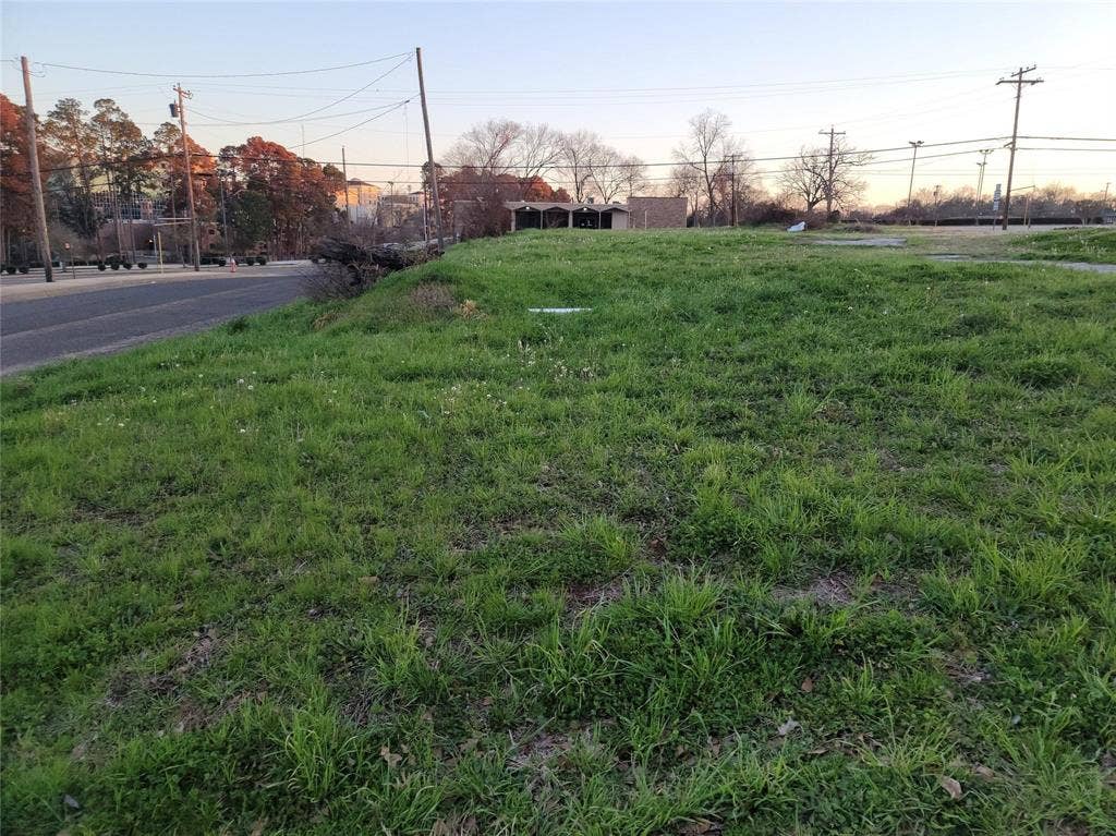 Expansive grass-covered lot with frontage along a paved thoroughfare and mature trees in the background