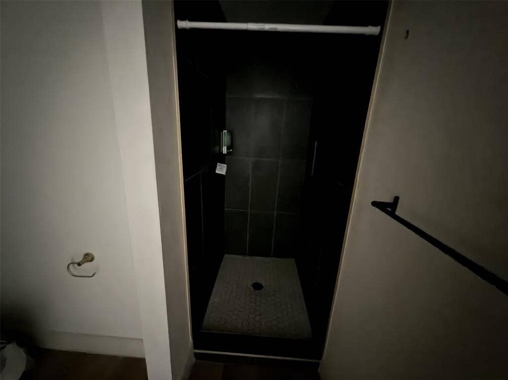 Downstairs walk-in shower