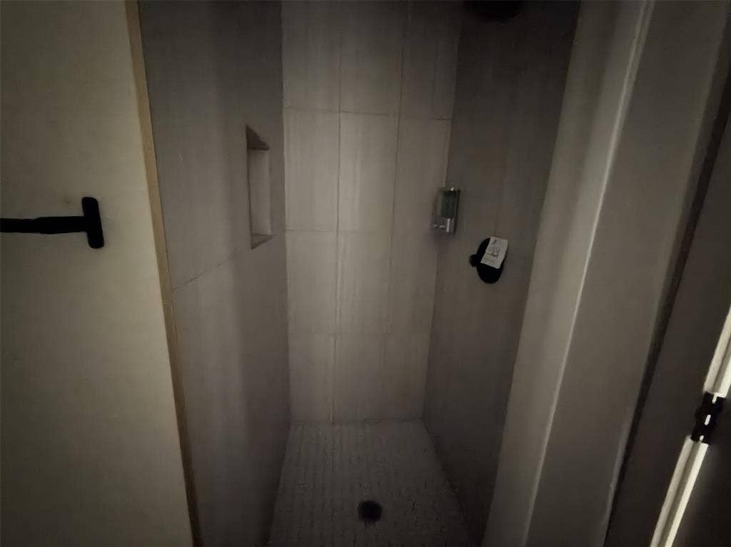 Downstairs walk-in shower