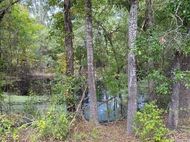 TR 9A1 & 9C FM 2709, Eustace, TX 75124 TR 9A1 & 9C FM 2709, Eustace, TX 75124