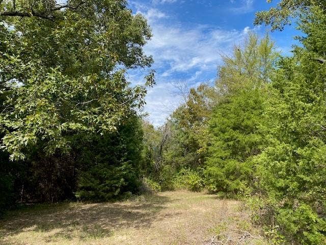TR 9A1 & 9C FM 2709, Eustace, TX 75124 TR 9A1 & 9C FM 2709, Eustace, TX 75124