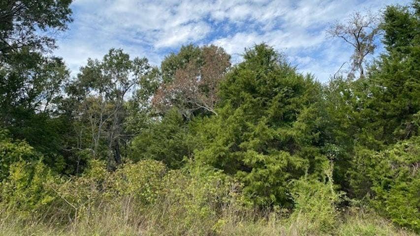 TR 9A1 & 9C FM 2709, Eustace, TX 75124 TR 9A1 & 9C FM 2709, Eustace, TX 75124