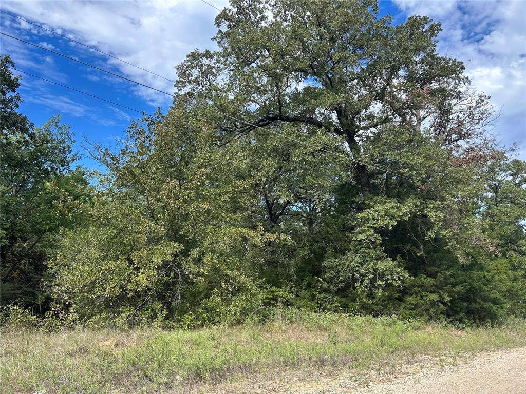 0 Zuni, Mabank, TX 75156 0 Zuni, Mabank, TX 75156