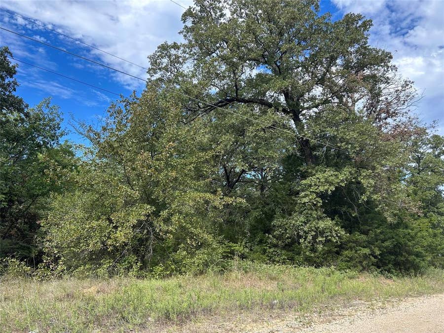 Property photo for 0 Zuni, Mabank, TX