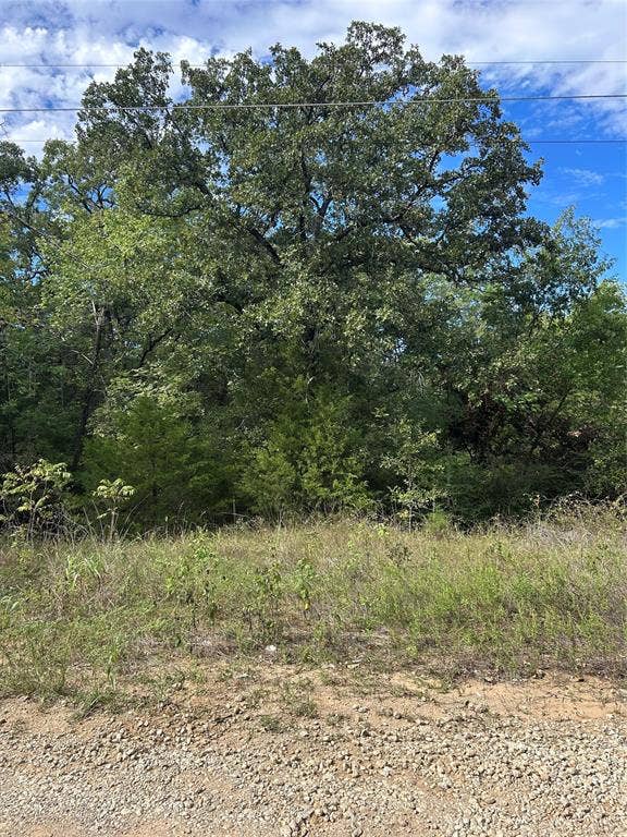 0 Zuni, Mabank, TX 75156 0 Zuni, Mabank, TX 75156