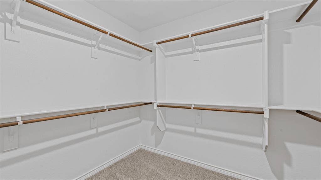 Walk-in closet featuring carpet flooring, built-in shelving, and multiple hanging rods
