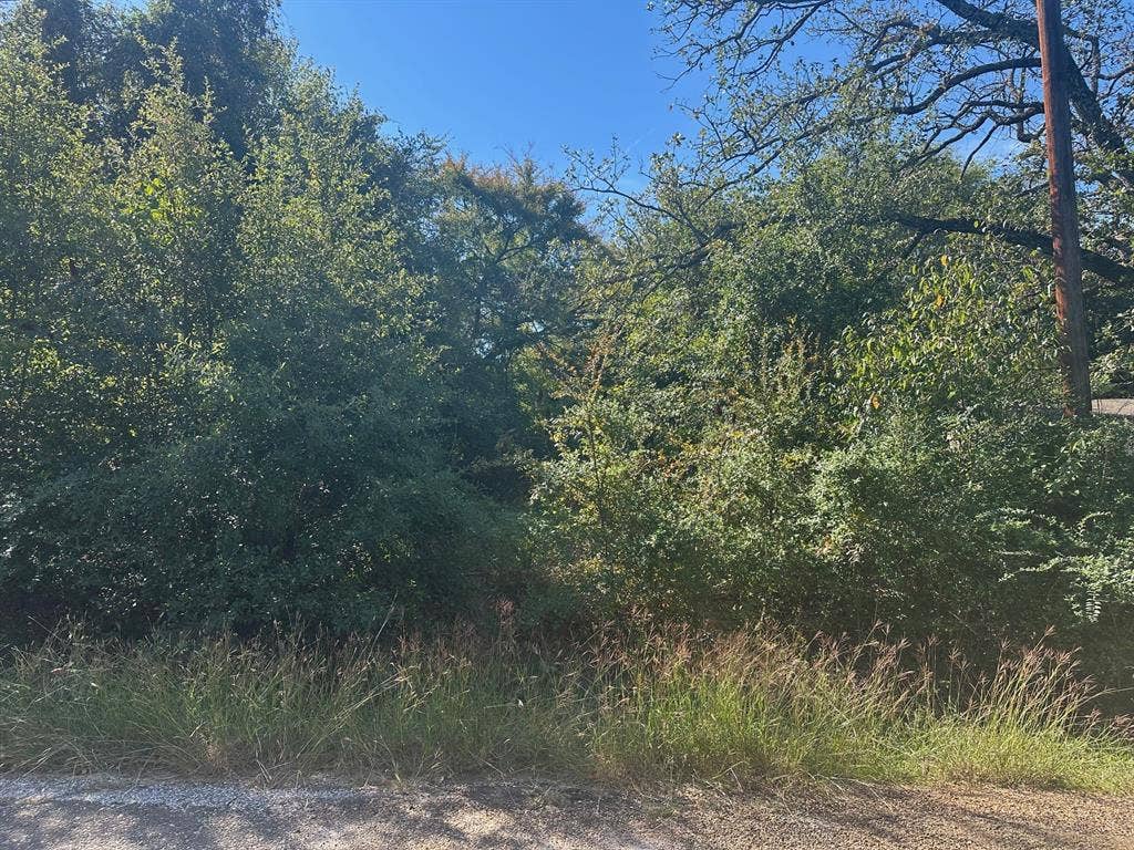 114 Beautiful Hills Drive, Mabank, TX 75156
