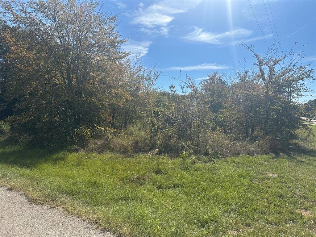 1627 Luzon Street, Tool, TX 75143