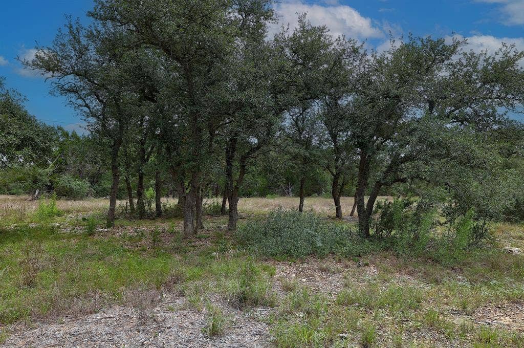 1400 Panther Creek Road, Driftwood, TX 78619 1400 Panther Creek Road, Driftwood, TX 78619