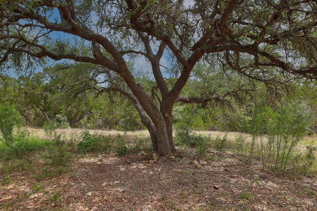 1400 Panther Creek Road, Driftwood, TX 78619 1400 Panther Creek Road, Driftwood, TX 78619