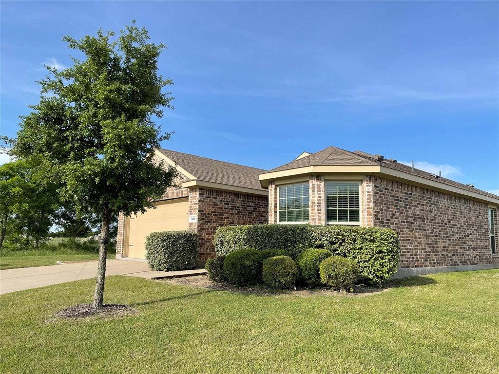800 Elm Grove, Anna, TX 75409 800 Elm Grove, Anna, TX 75409