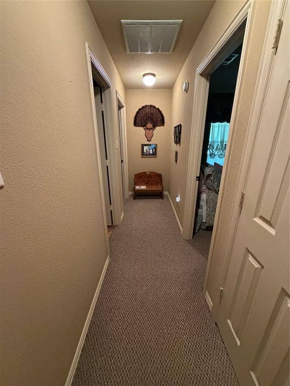 9031 Mallard Way, Larue, TX 75770 Interior hallway featuring neutral-toned carpeting, solid-panel interior doors, and a ceiling-mounted light fixture