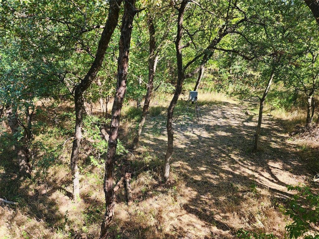 7292 County Road 1048, Celeste, TX 75423