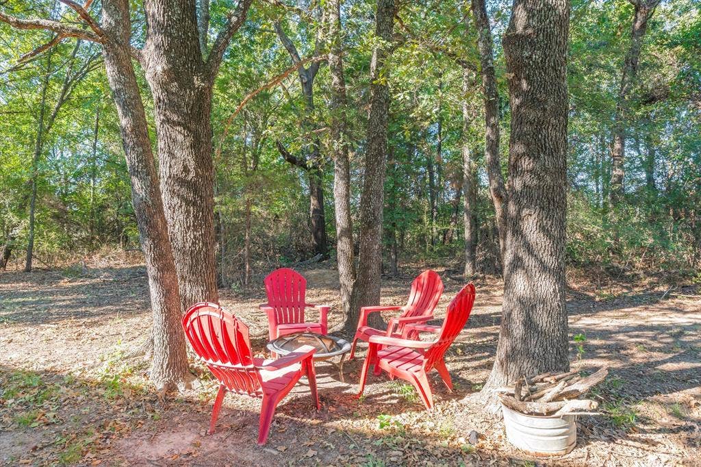15993 County Road 4059, Kemp, TX 75143 Firepit area under the nighttime stars