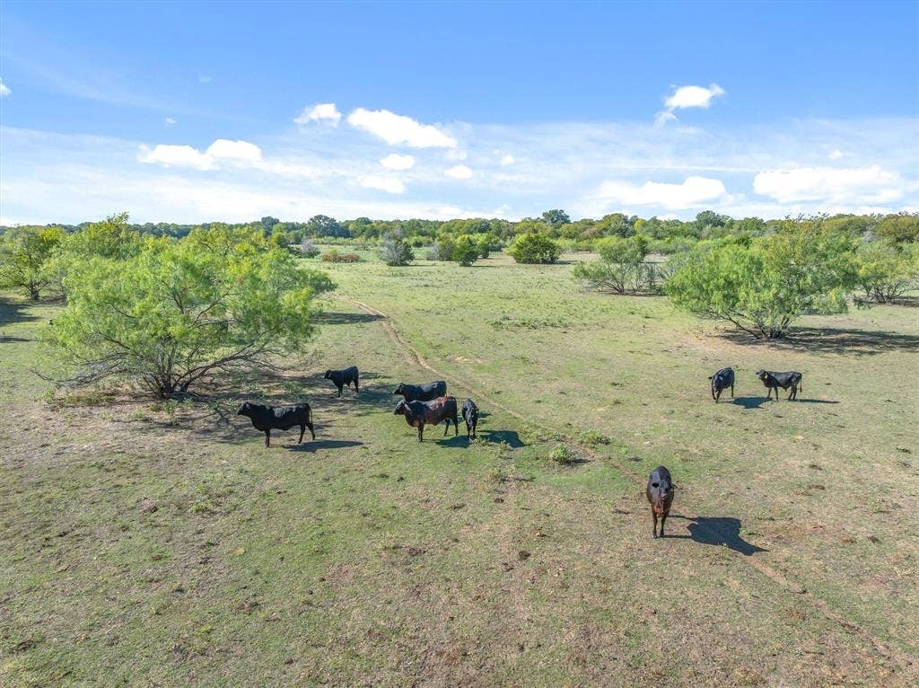 15993 County Road 4059, Kemp, TX 75143 15993 County Road 4059, Kemp, TX 75143
