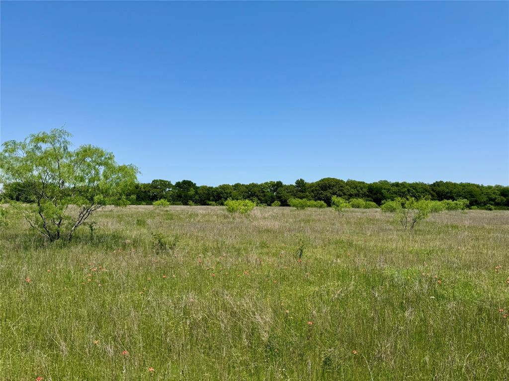 0 Clater Powell Road, Gholson, TX 76705 0 Clater Powell Road, Gholson, TX 76705