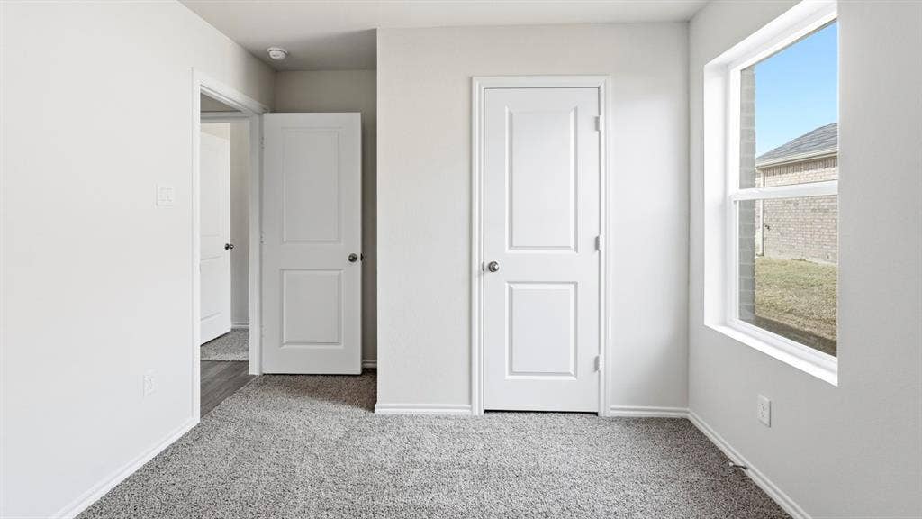 Light gray carpeting with white trim, two white paneled doors, and a single-pane window