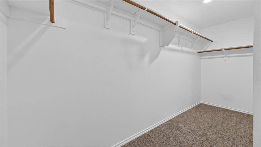 Spacious walk-in closet featuring white walls, baseboards, and textured carpet