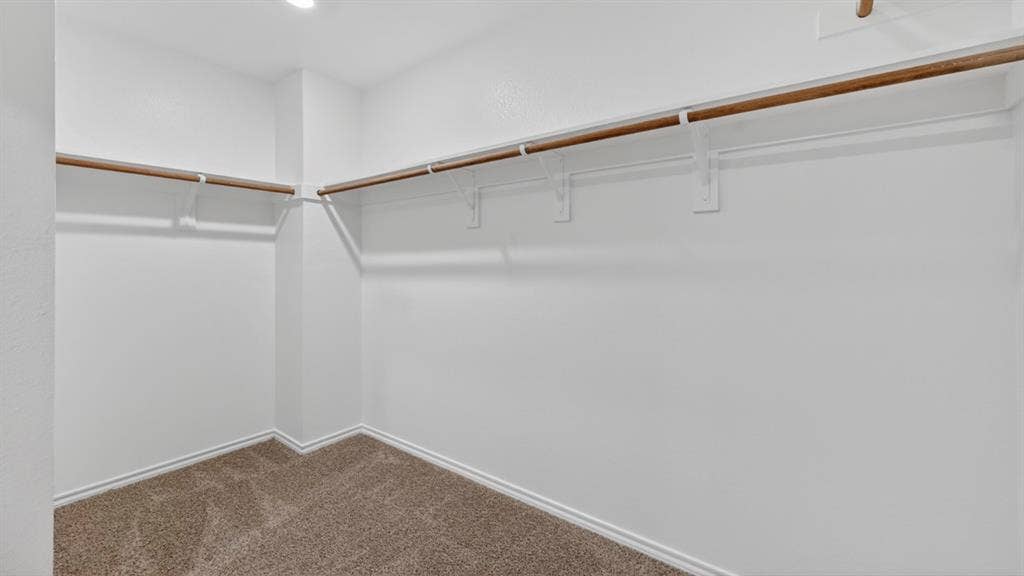 Spacious walk-in closet featuring white walls, baseboards, and neutral-toned carpeting
