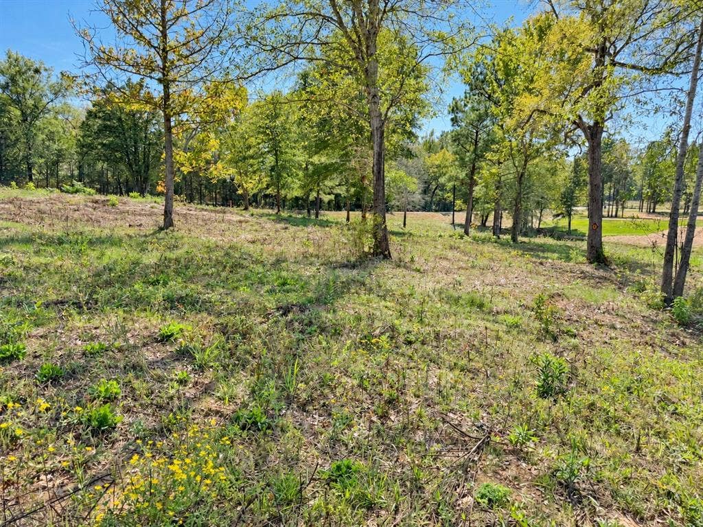 15997 FM 2015, Winona, TX 75792 15997 FM 2015, Winona, TX 75792