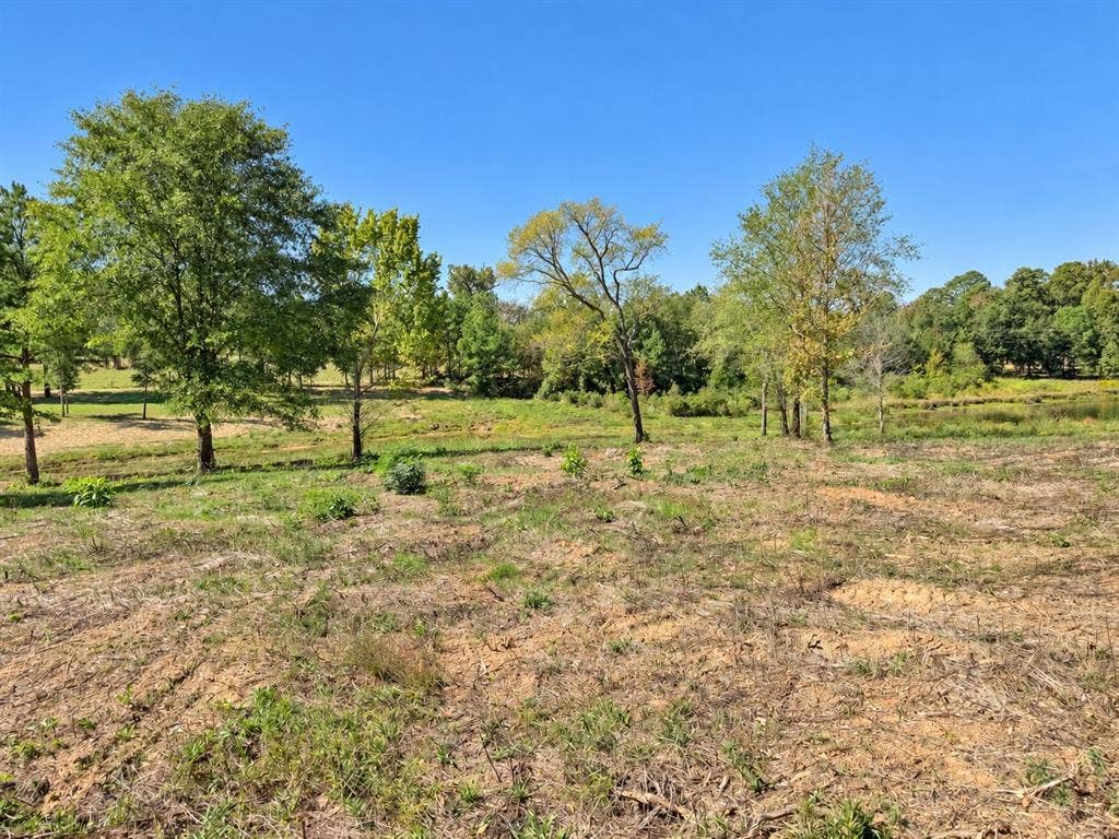 15997 FM 2015, Winona, TX 75792 15997 FM 2015, Winona, TX 75792