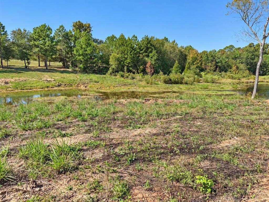 15997 FM 2015, Winona, TX 75792 15997 FM 2015, Winona, TX 75792