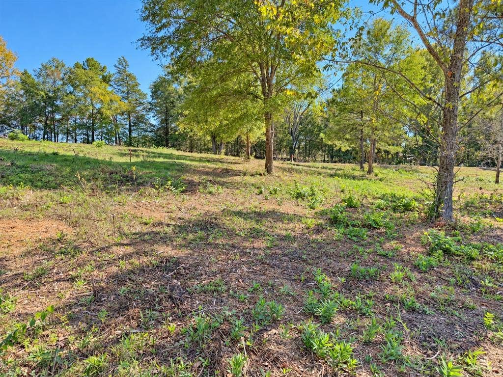 15997 FM 2015, Winona, TX 75792 15997 FM 2015, Winona, TX 75792