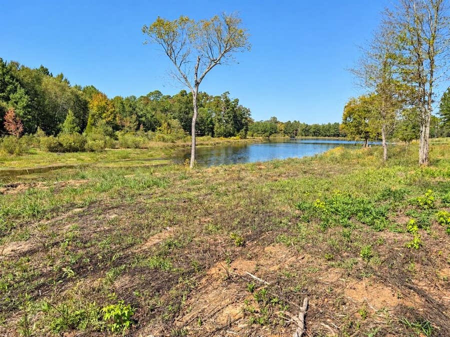 Property photo for 15997 FM 2015, Winona, TX