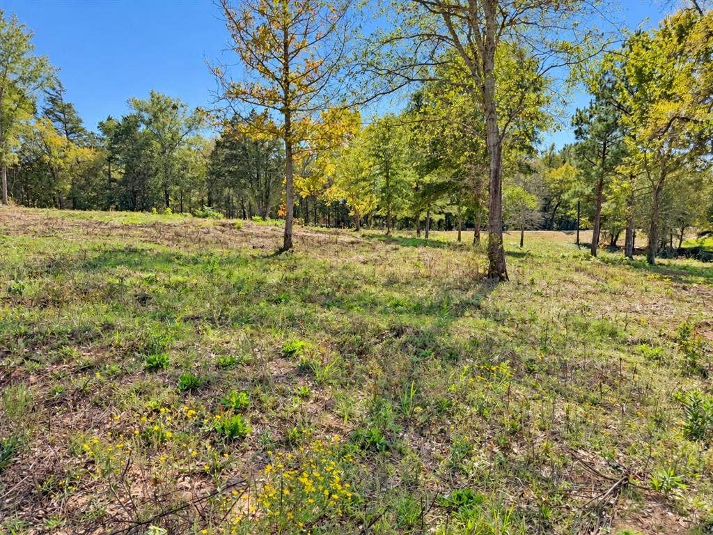 TBD FM 2015 Lot A, Winona, TX 75792 TBD FM 2015 Lot A, Winona, TX 75792