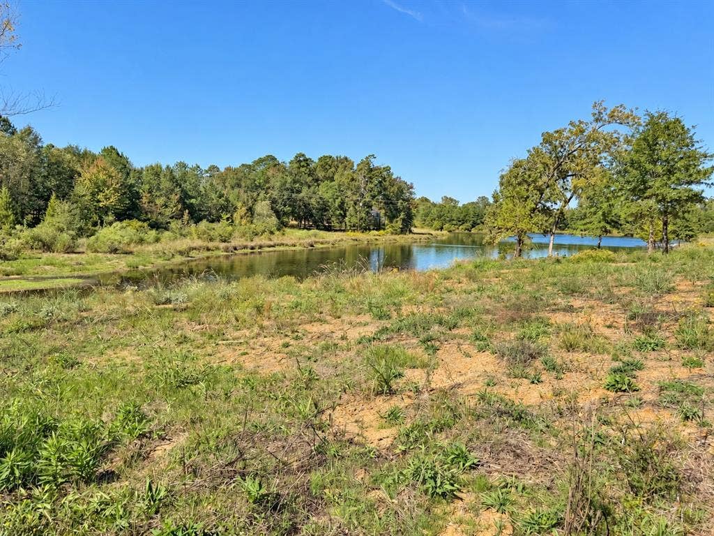 TBD FM 2015 Lot A, Winona, TX 75792 TBD FM 2015 Lot A, Winona, TX 75792