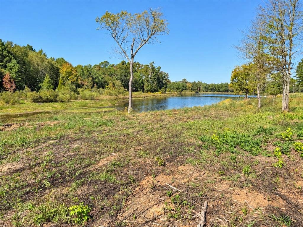 TBD FM 2015 Lot A, Winona, TX 75792 TBD FM 2015 Lot A, Winona, TX 75792