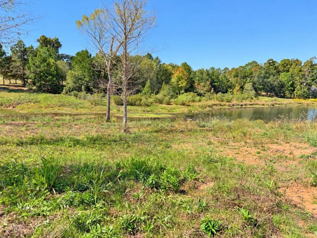 TBD FM 2015 Lot A, Winona, TX 75792 TBD FM 2015 Lot A, Winona, TX 75792