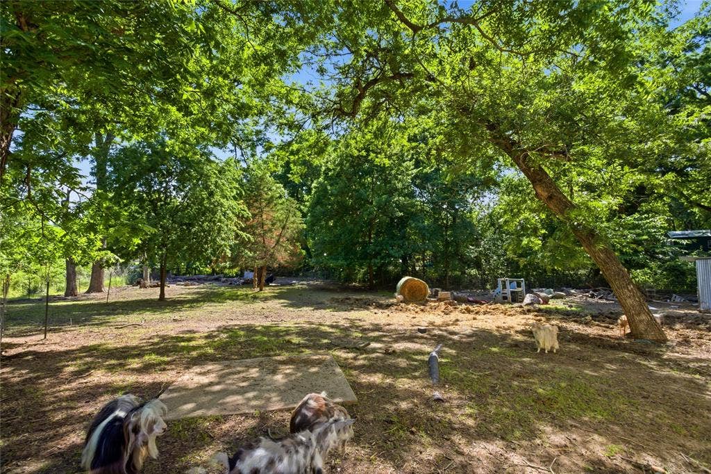 1641 Ben Davis Drive, Garland, TX 75040 1641 Ben Davis Drive, Garland, TX 75040