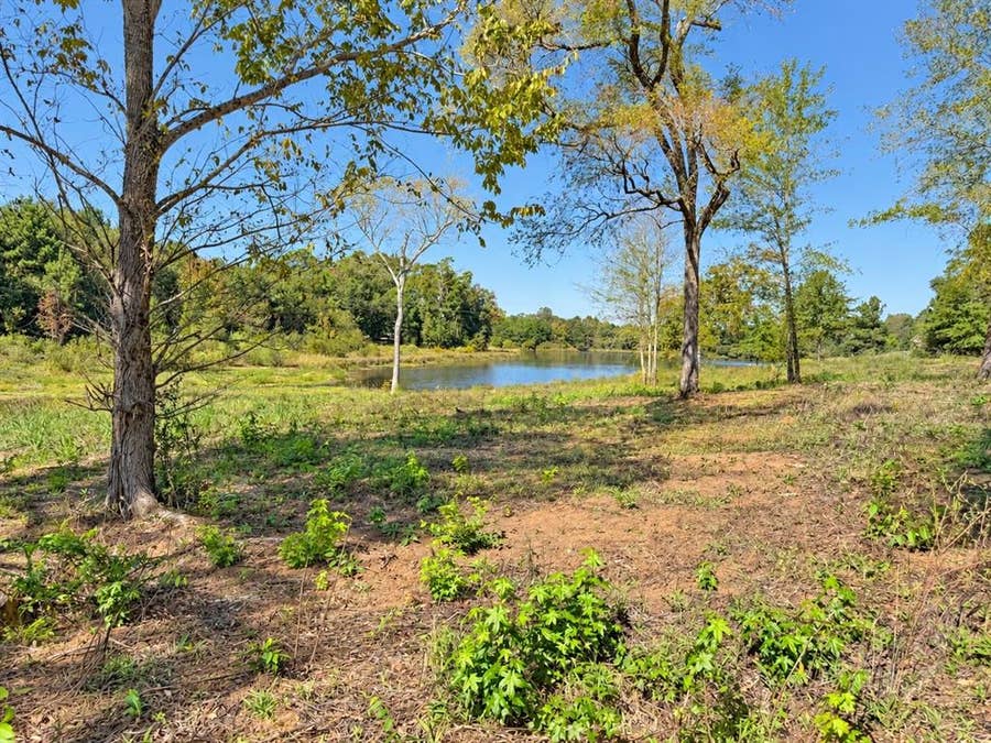 Property photo for TBD FM 2015 Lot B, Winona, TX