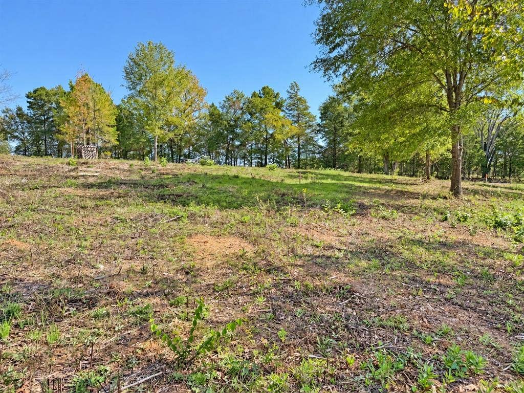 TBD FM 2015 Lot B, Winona, TX 75792
