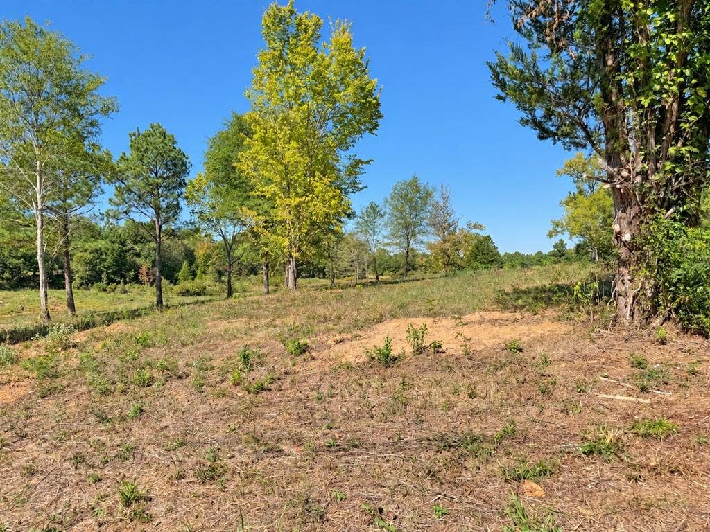 TBD FM 2015 Lot B, Winona, TX 75792