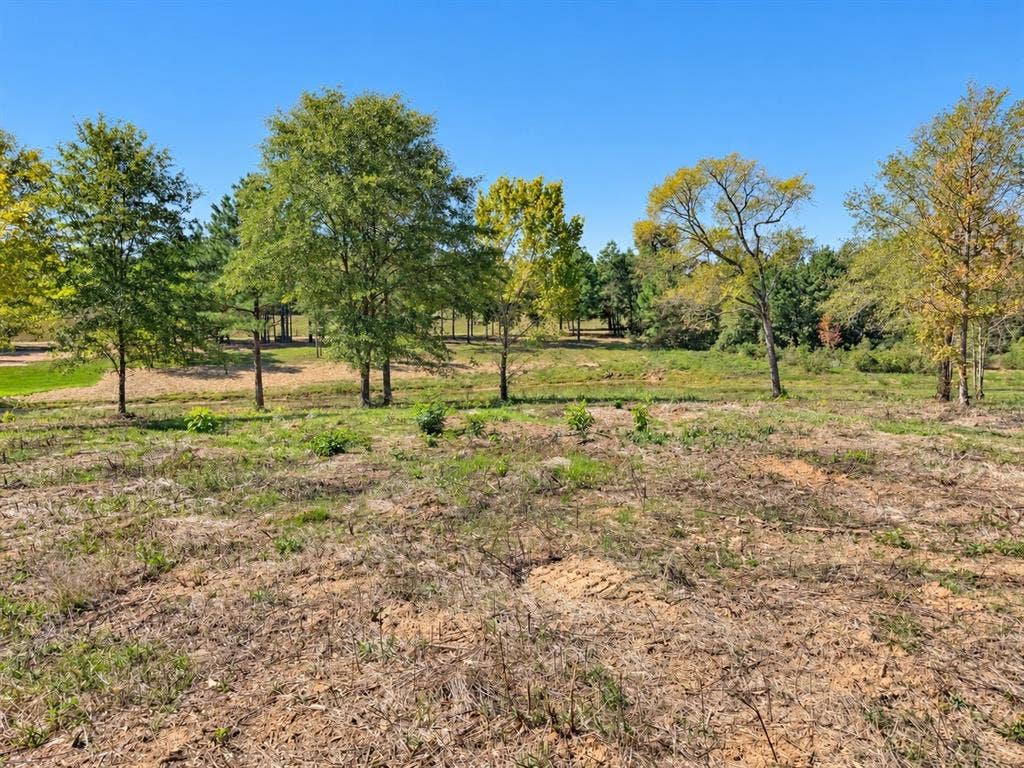 TBD FM 2015 Lot B, Winona, TX 75792