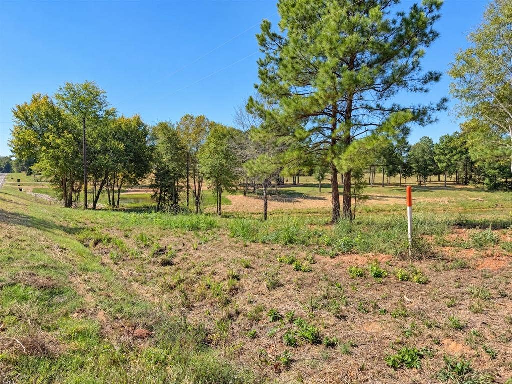 TBD FM 2015 Lot C, Winona, TX 75792