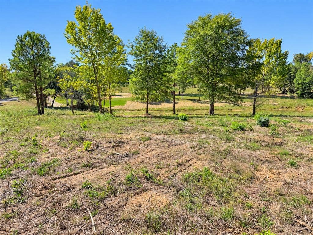 TBD FM 2015 Lot C, Winona, TX 75792