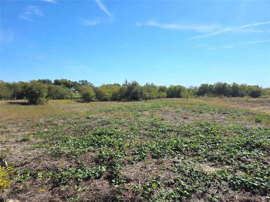Property photo for 22 Longview Creek Trail, Itasca, TX